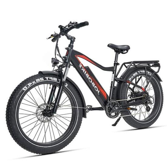 Robin vélo électrique adulte, batterie 48V 13Ah