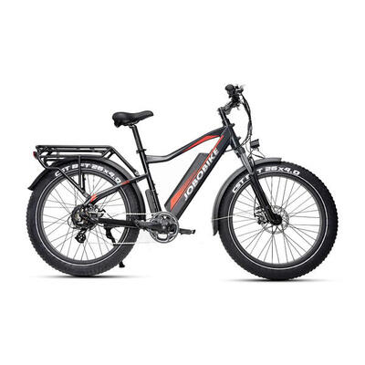 Robin-e33 elektrische fiets voor volwassenen 250w 36v 13ah stadsfiets