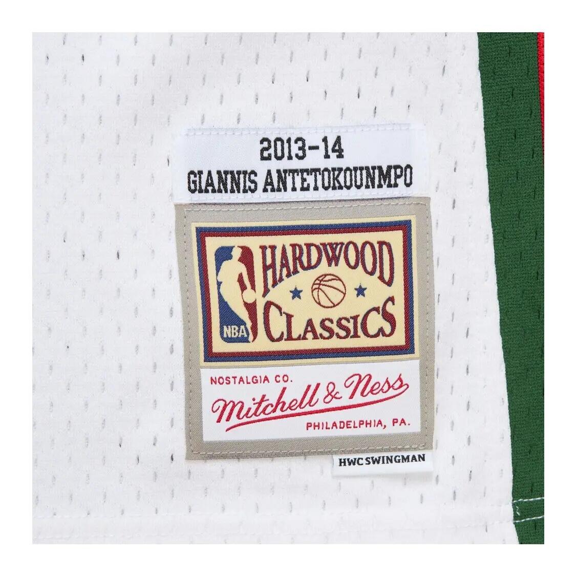 Maillot NBA Milwaukee Bucks Giannis Antetokounmpo 2013/14 5/5