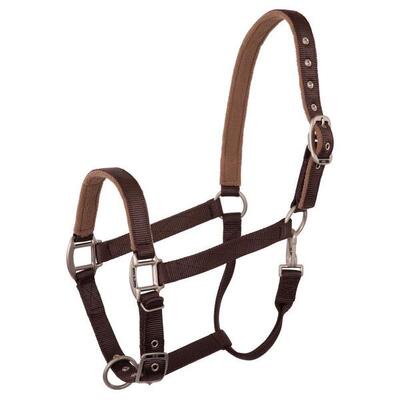Halster voor paarden br equitation event