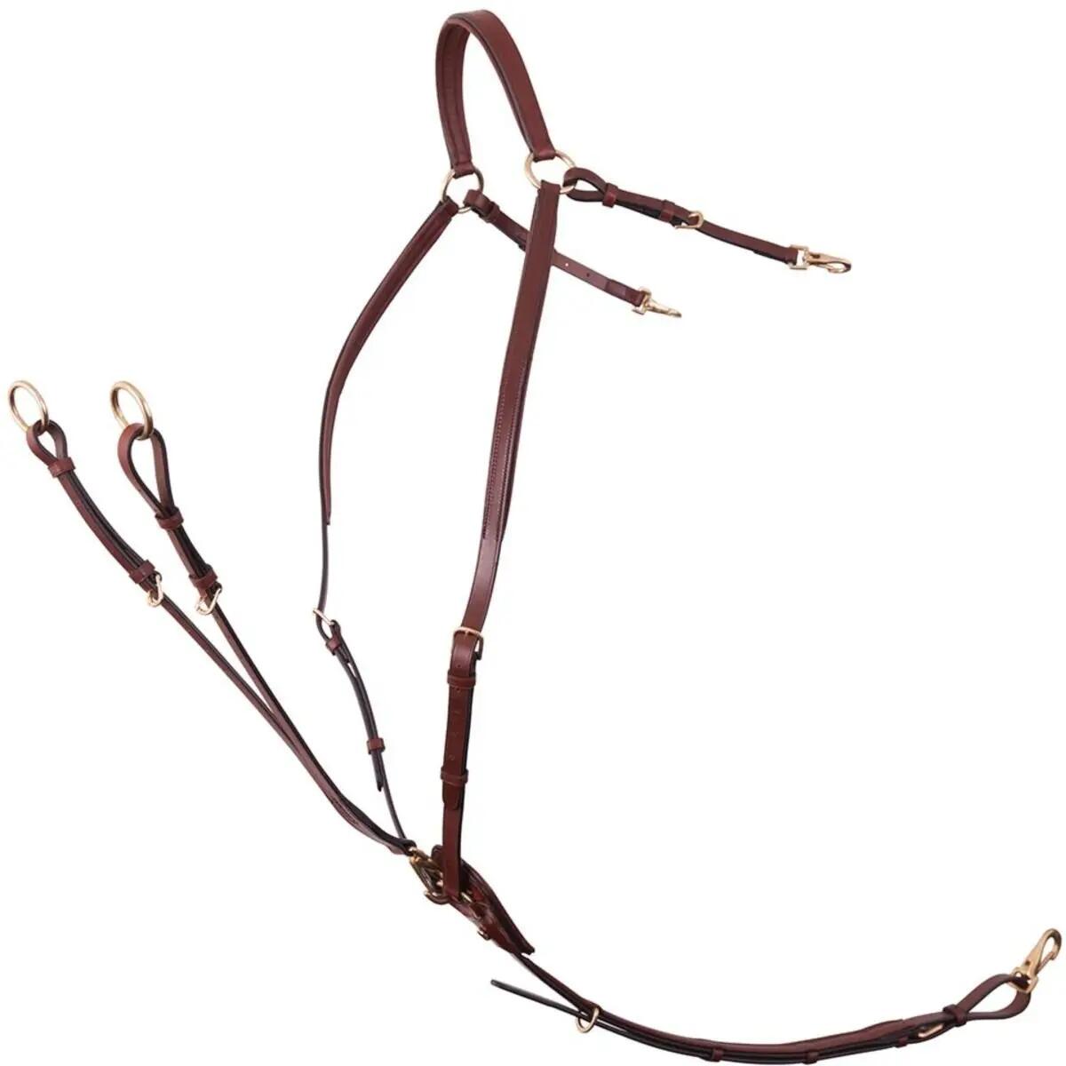 Collier de chasse pour cheval avec brides de selle BR Equitation Rayleigh 1/1