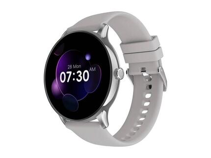 Montre connectée Smartwatch NOISE Twist Go Argent