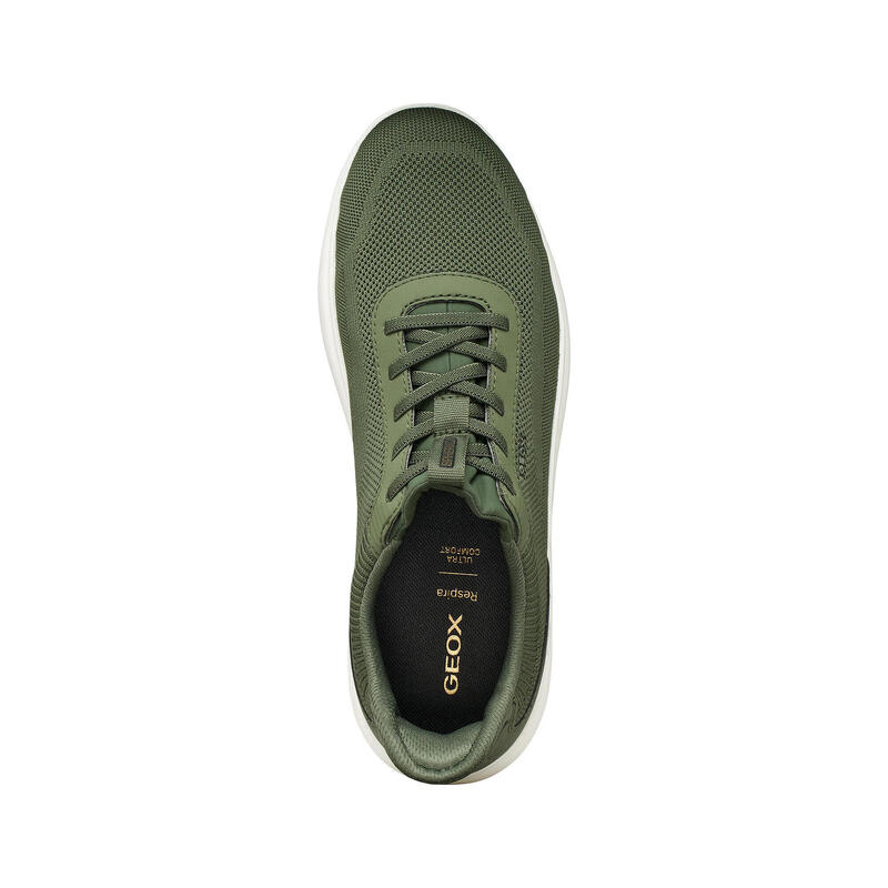 Baskets Homme Baskets olive Geox U55MPA Vert Geox