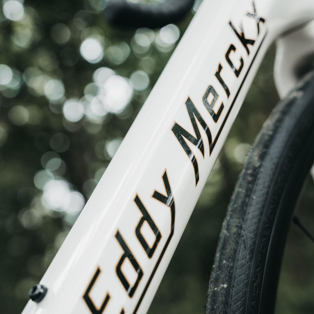 Second Life - Bici da strada Eddy Merckx Mendrisio 105 2x12 M 2/7
