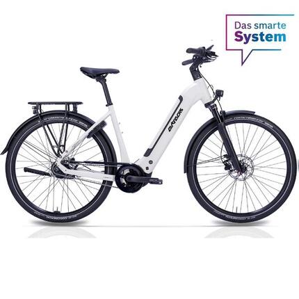 28" Damen E-Bike CIty Fahrrad LS Wave TERRA CT2 BOSCH Performance Line Smart