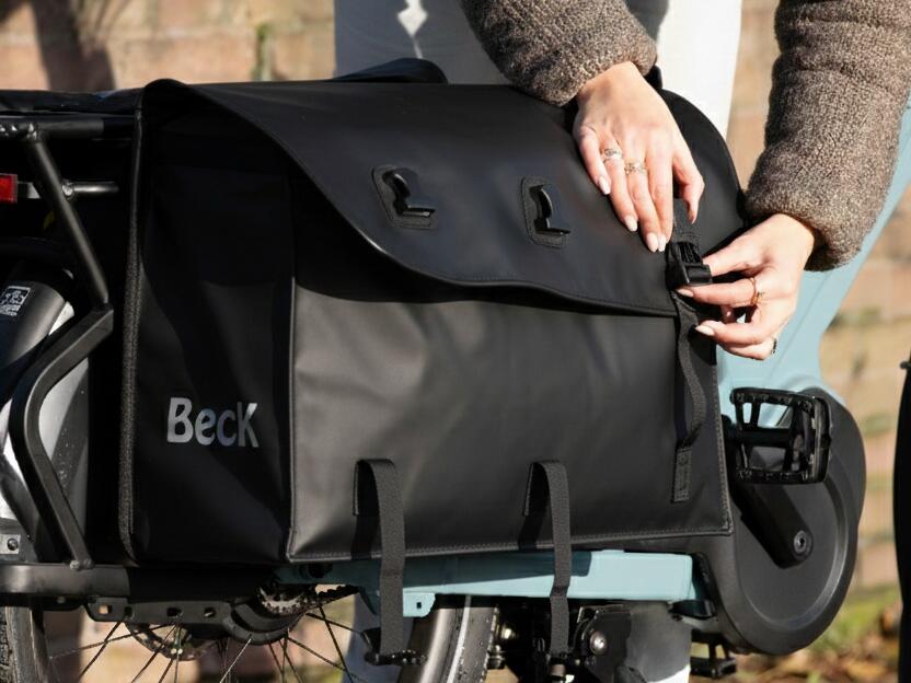 BECK picture