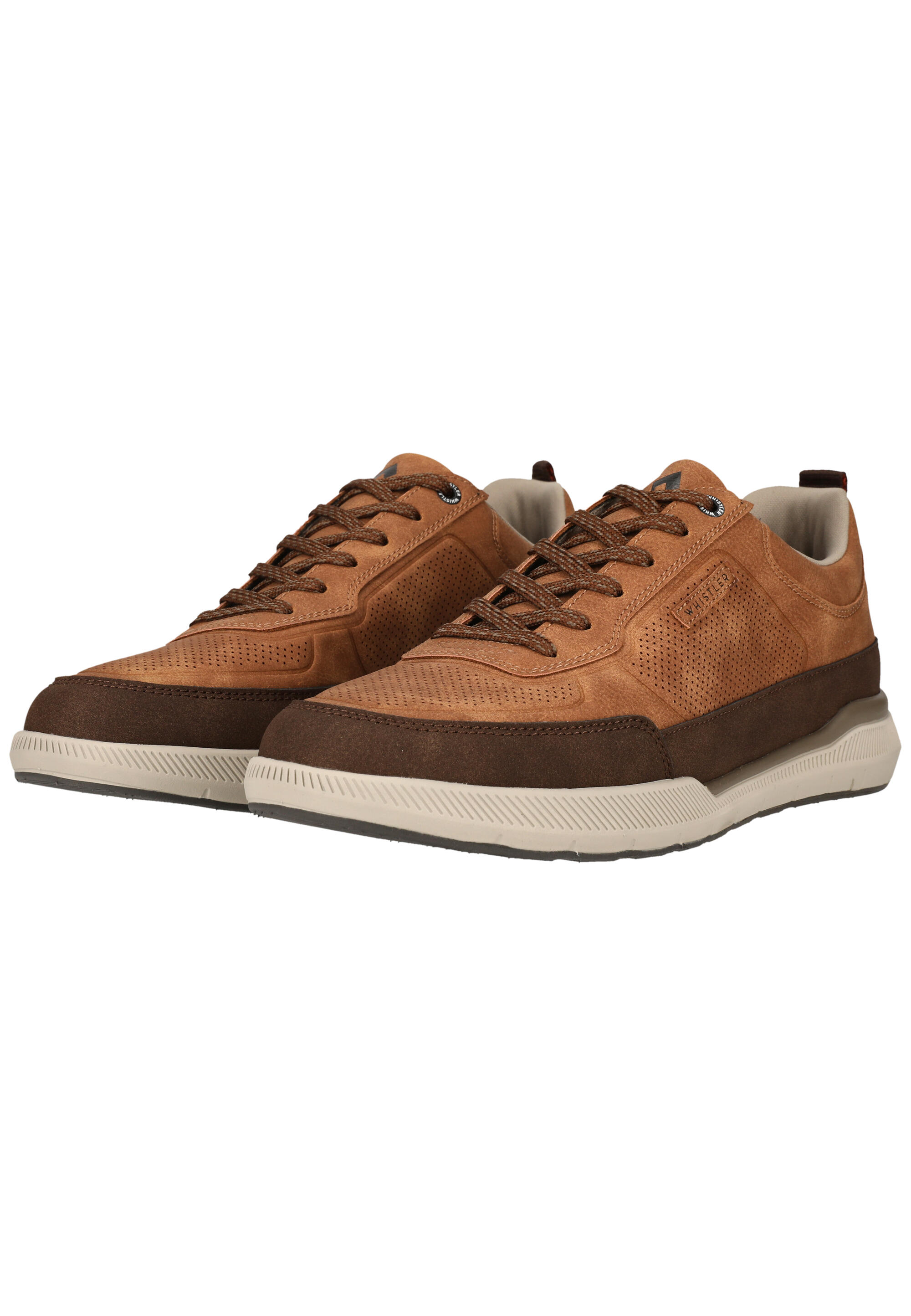 Baskets Whistler Alcoy 4/15