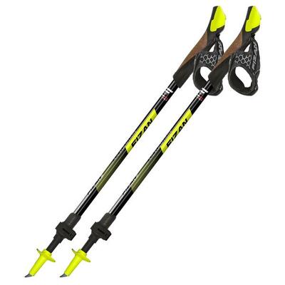 Nordic walking stokken fizan r-evolution
