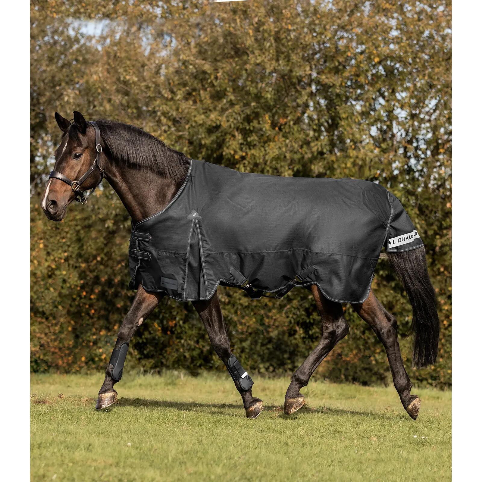 Manta de exterior para caballos Waldhausen Arctic 200g 2/5