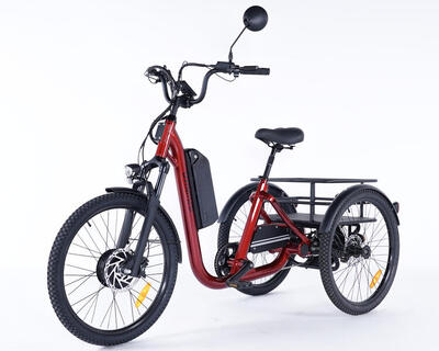Triciclo elettrico per adulti EVASION - ruote da 24