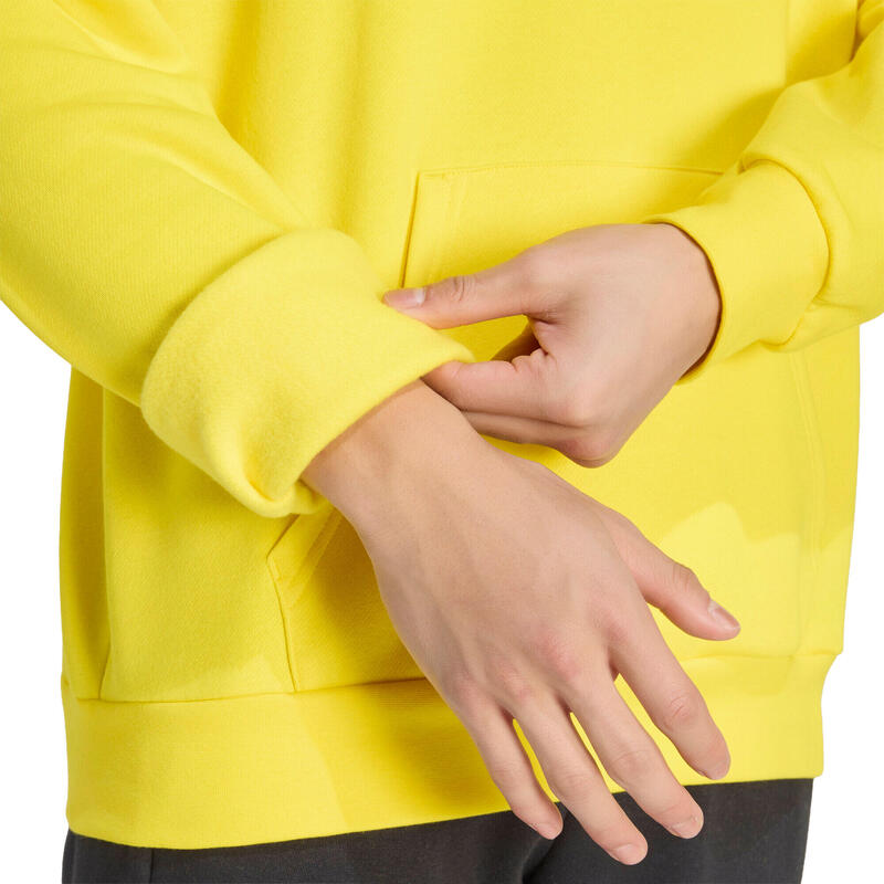 Hanorac pentru bărbați adidas Entrada 26 Hoody