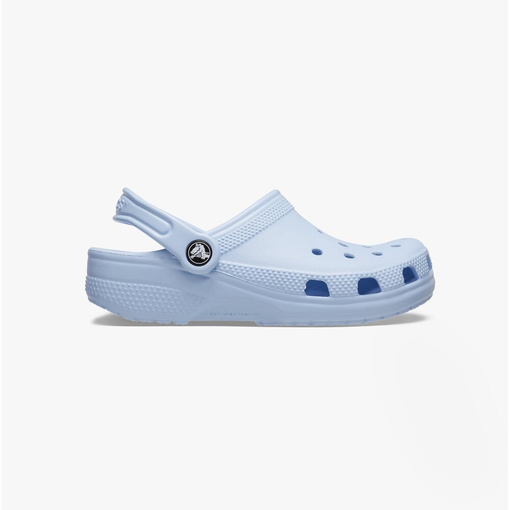 CROCS picture