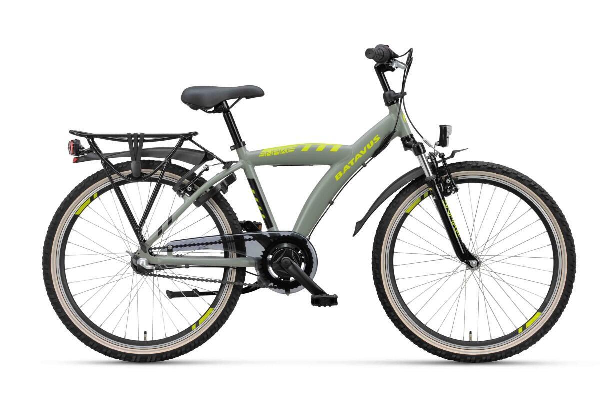 BATAVUS picture