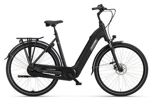 BATAVUS picture