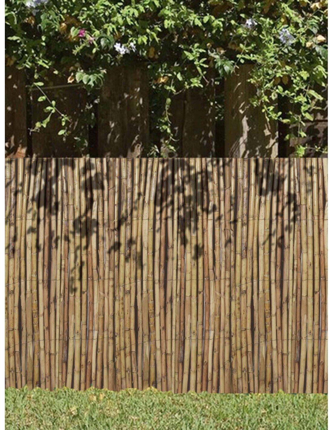 Cañizo Grueso Nacional | Cerramiento de  JARDIN202 2x5m 3/5