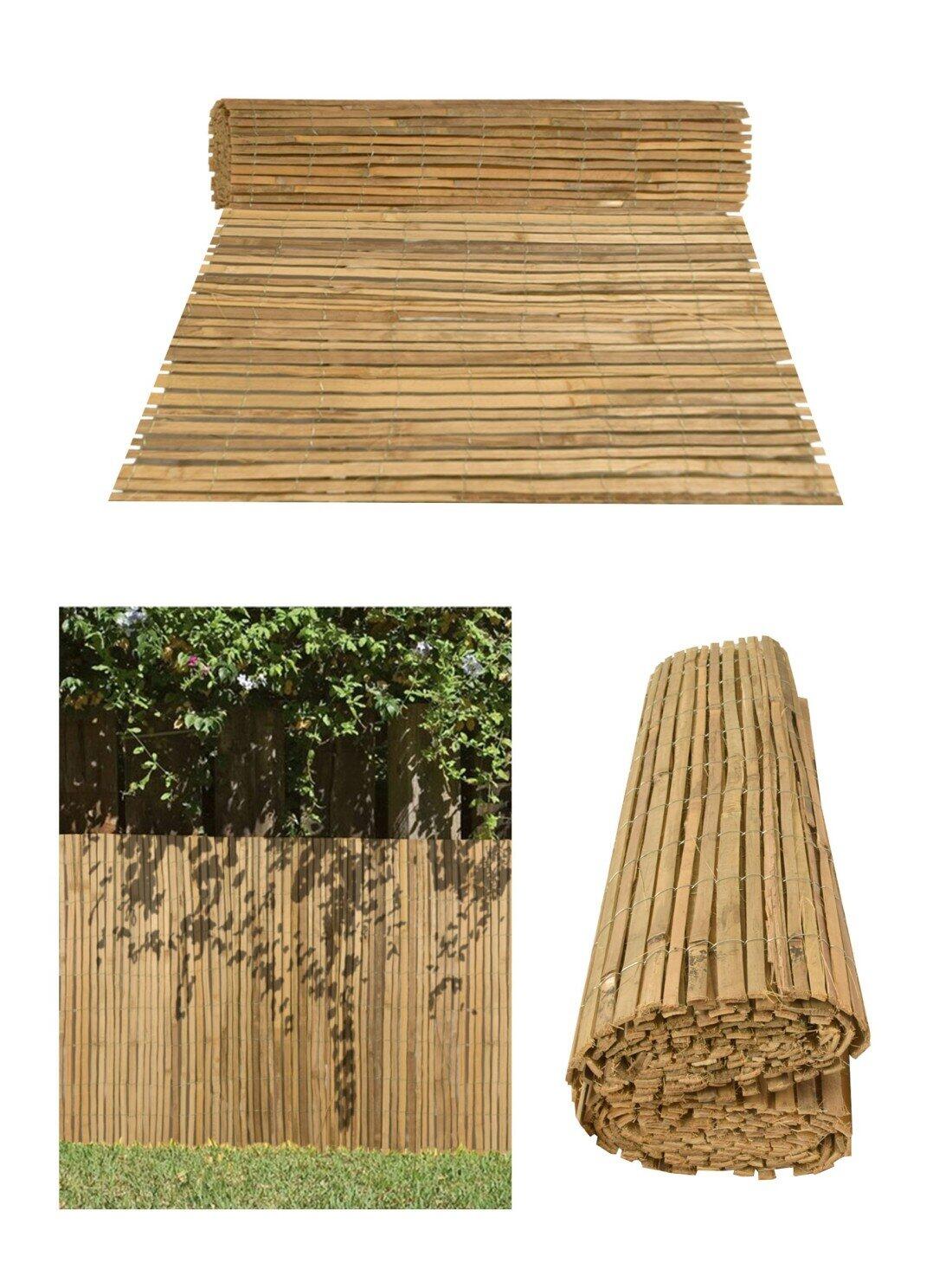 JARDIN202 picture