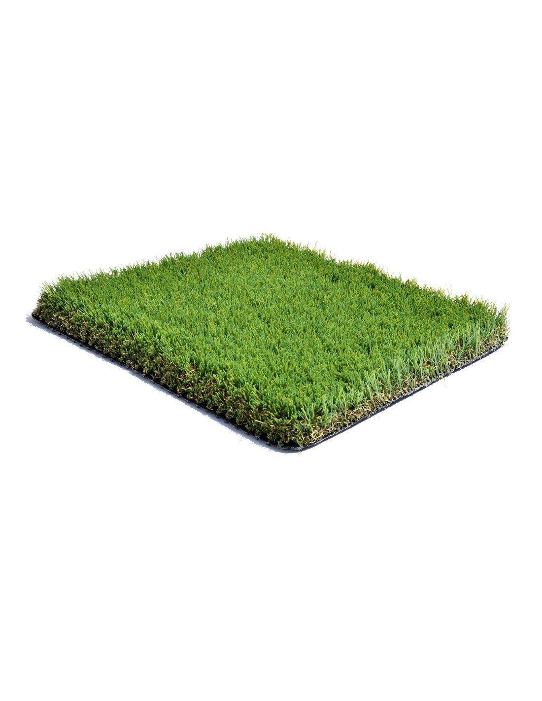 JARDIN202 picture