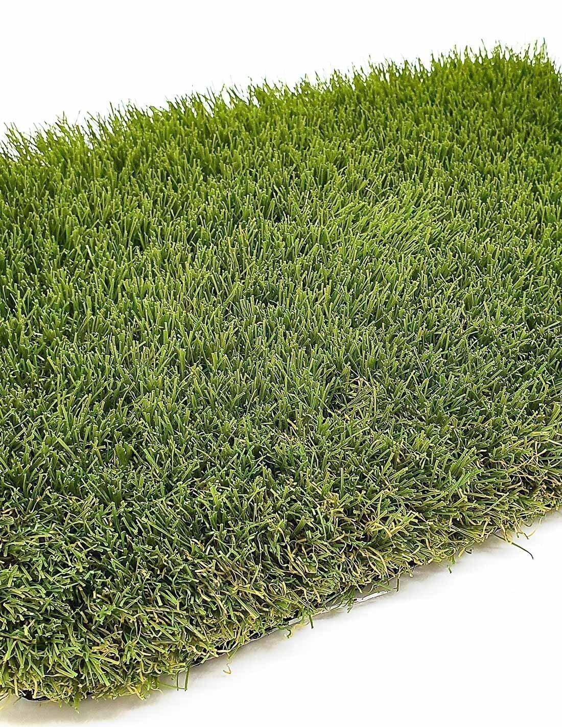JARDIN202 picture