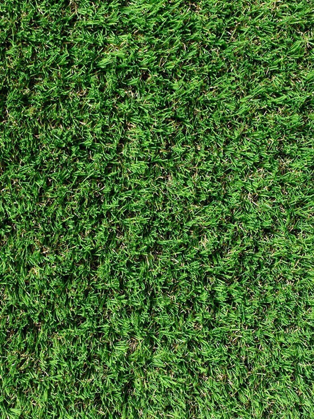 Césped Artificial de Color ColorPlus 25m JARDIN202 Verde 2 x 10 metros : 20 m2 4/5