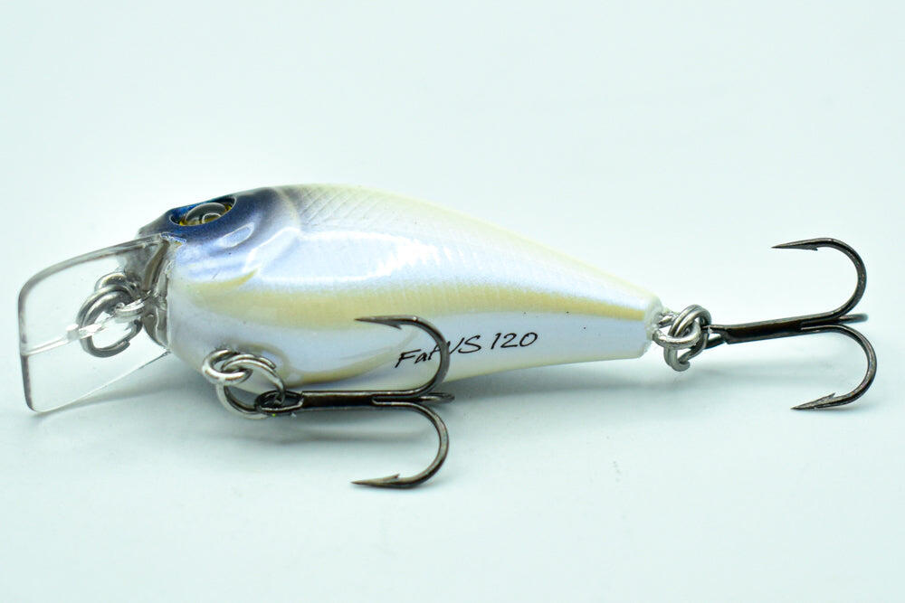 Fat Vs 120 - White Pearl 3/4