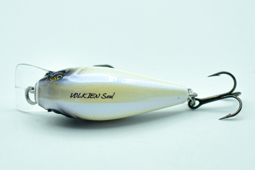 Fat Vs 120 - White Pearl 4/4