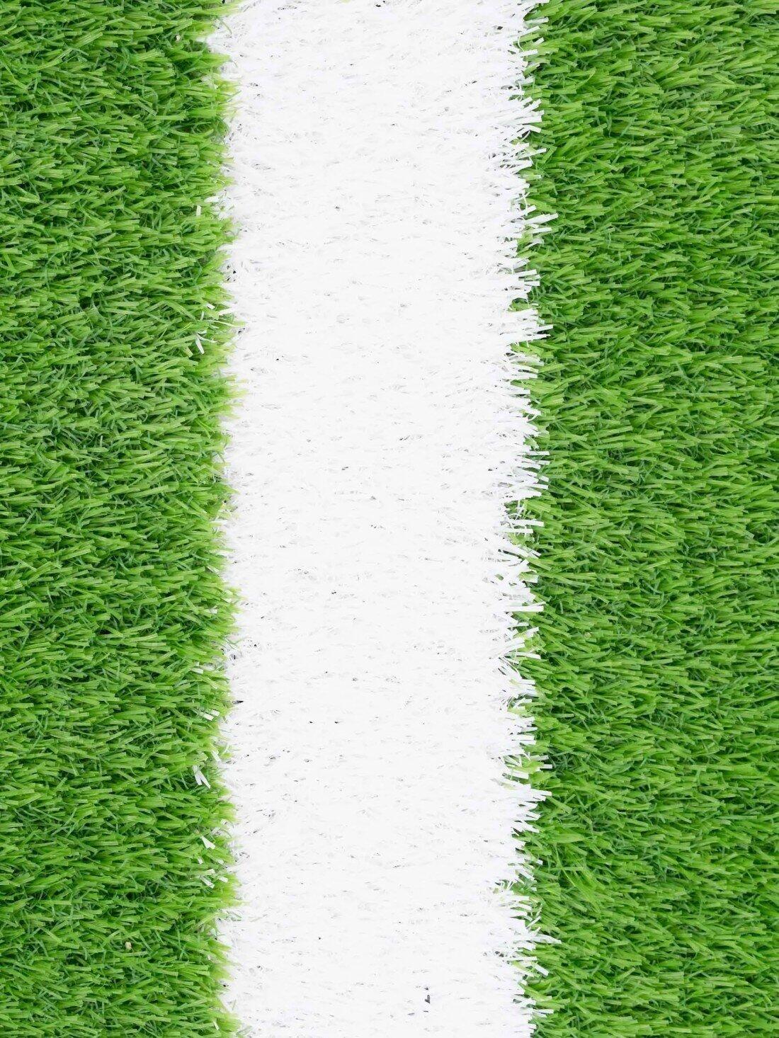 Pista de Sprint Césped Artificial 2x10m  JARDIN202 2 x 10 metros : 20 m2 4/5