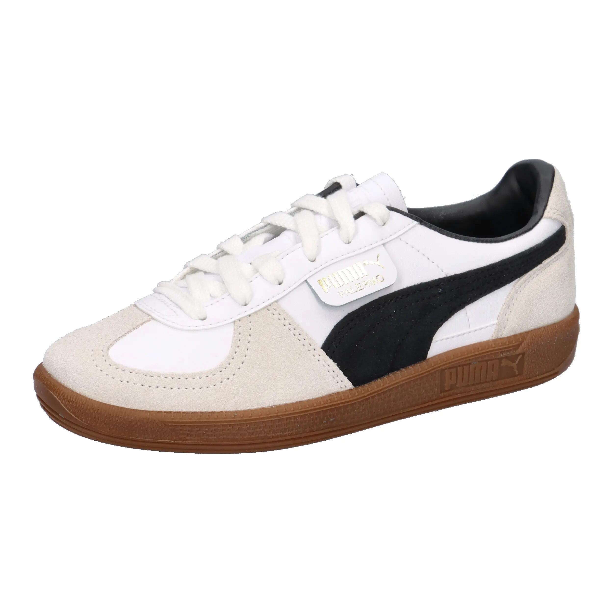 PUMA picture