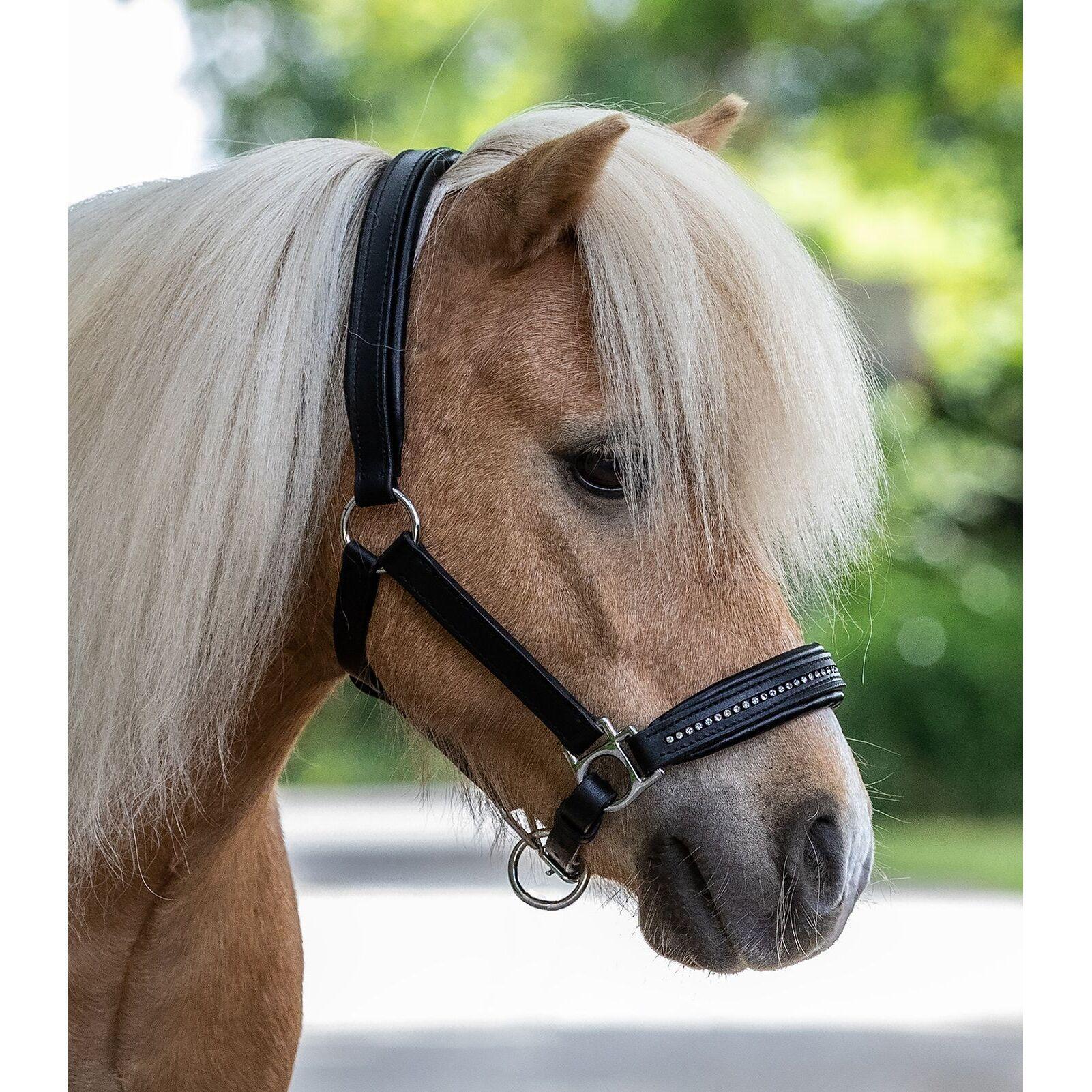 Licol pour cheval Star Diamond 3/3
