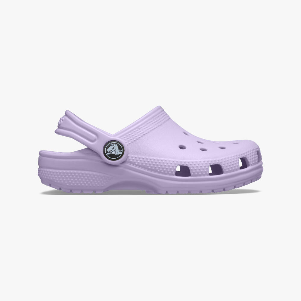 CROCS picture