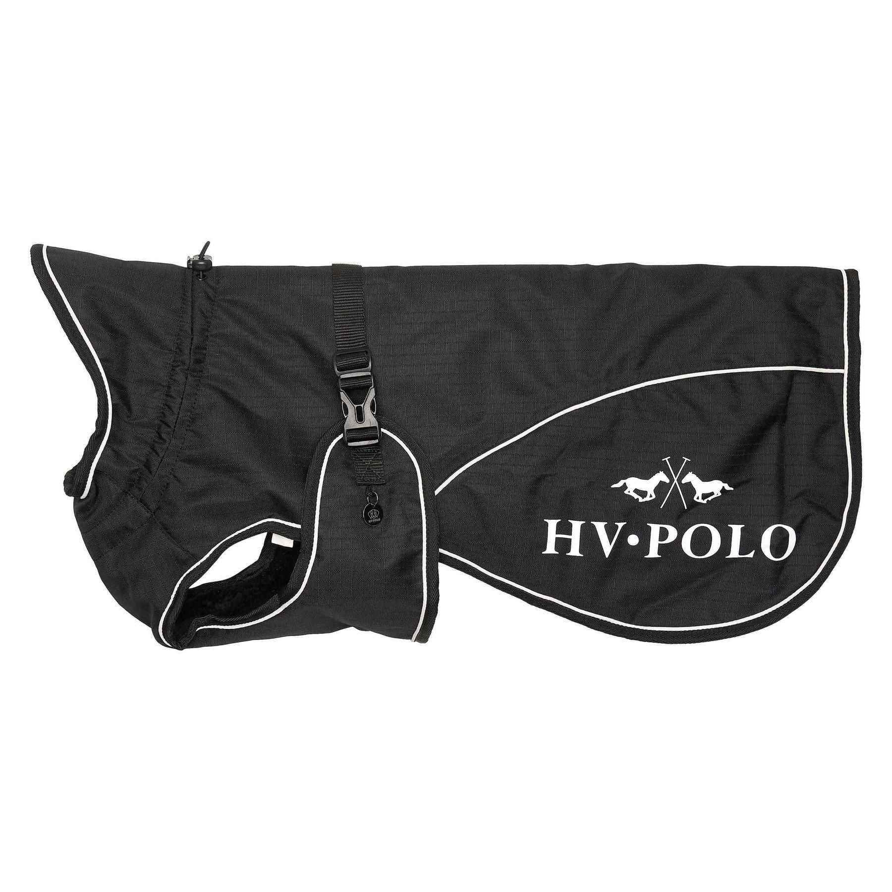 HV POLO picture