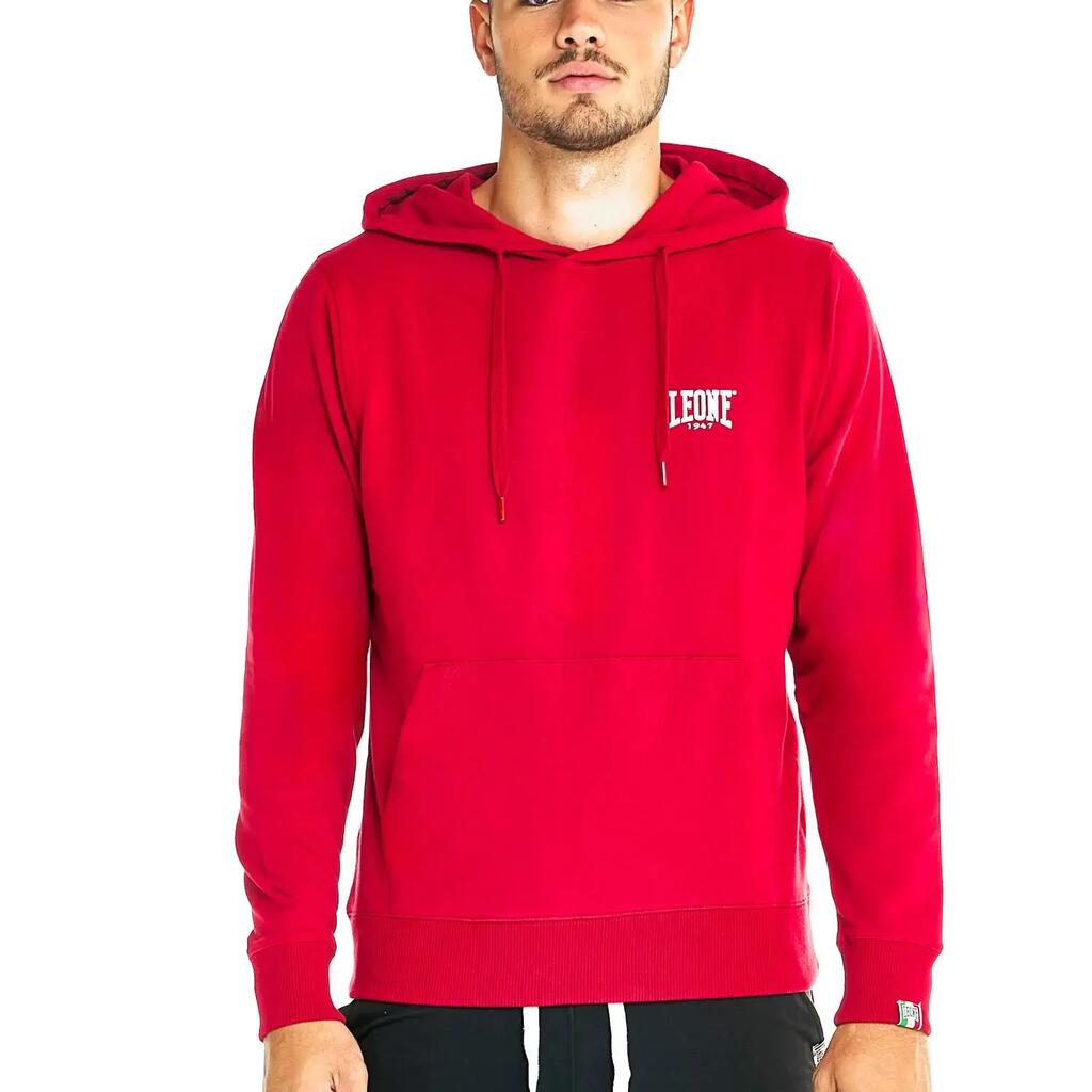 Man hoody basic Small Logo
