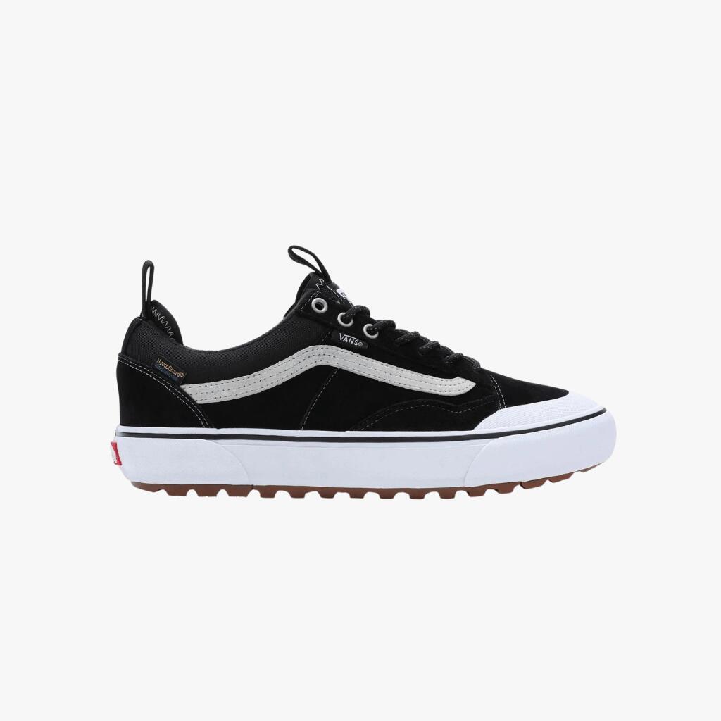 VANS picture
