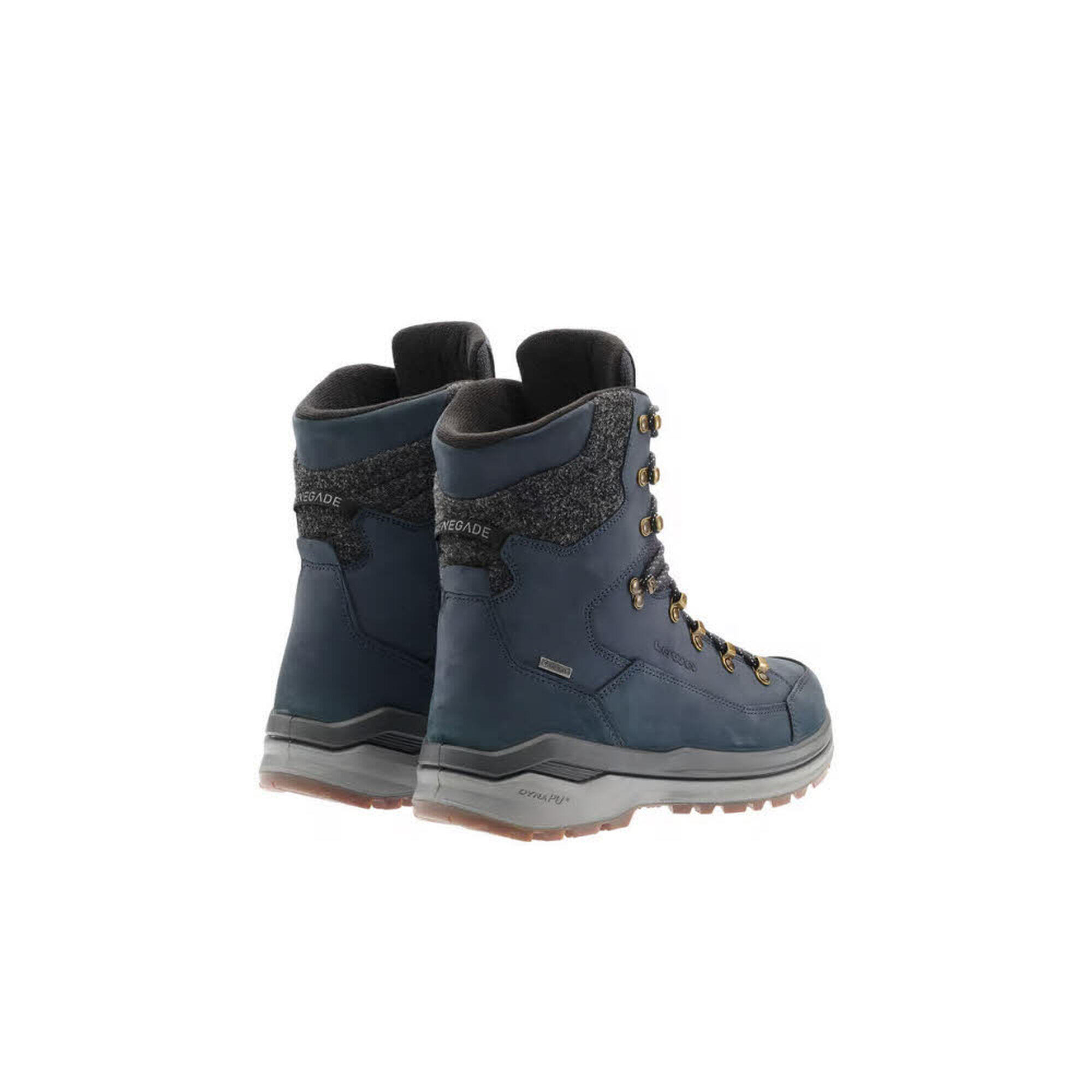 Stiefel RENEGADE EVO ICE 2 GTX 2/5