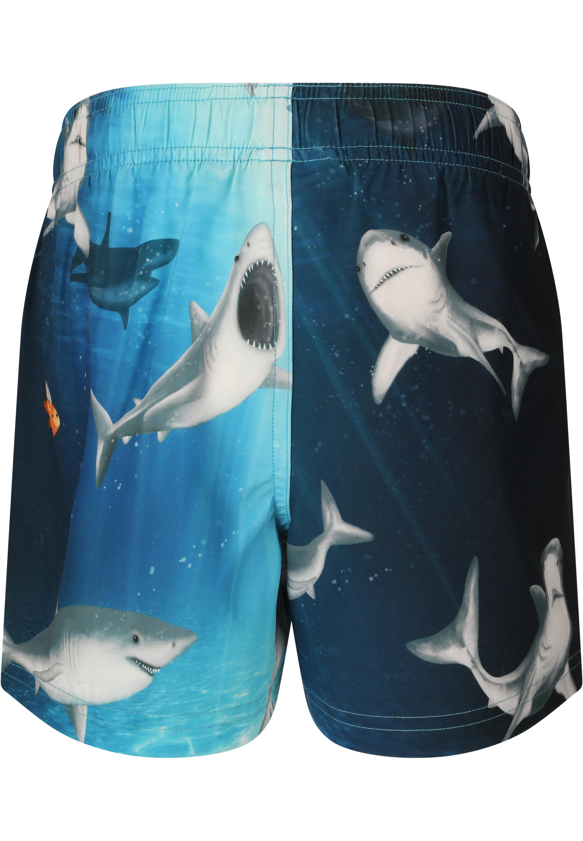 Short de bain Sealife 2/5