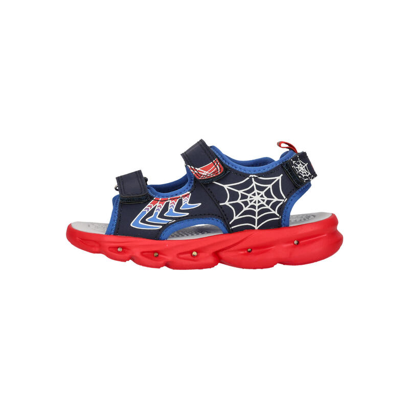 3d7f5f5d-870f-4000-b599-fbb749aba8d7_c5c14