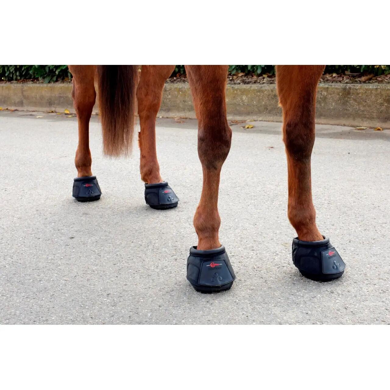 Sandale pour cheval Covalliero Hipposandale 2/2