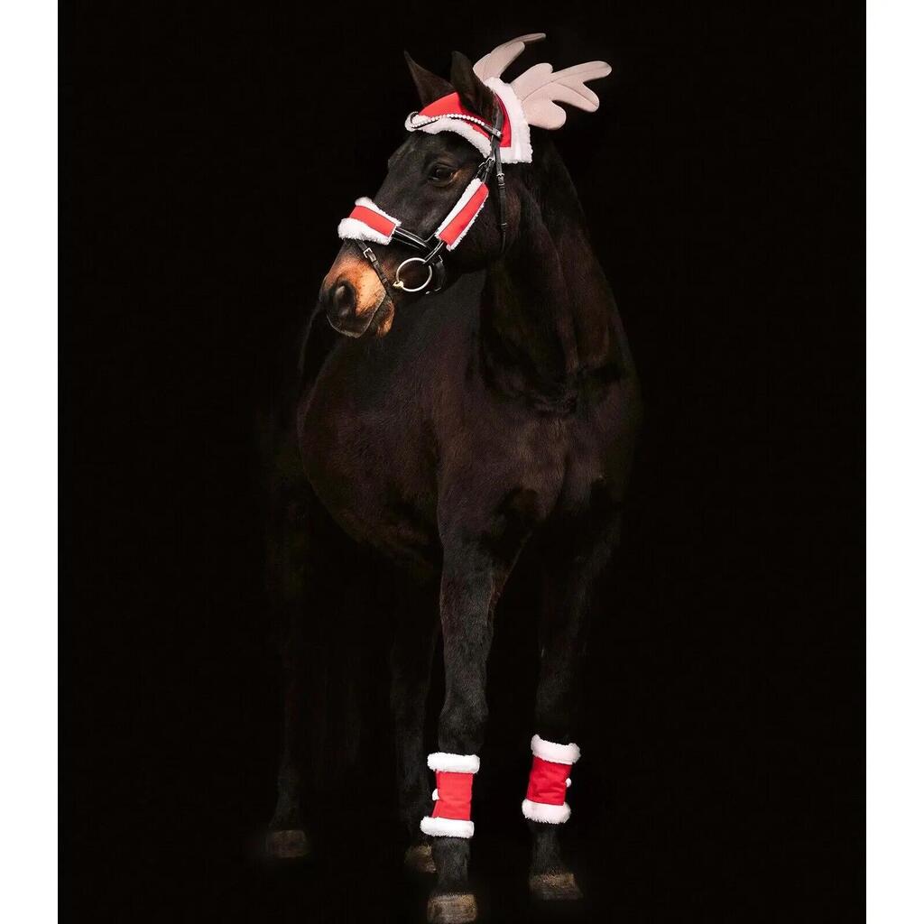 Christmas decoration for horse Waldhausen