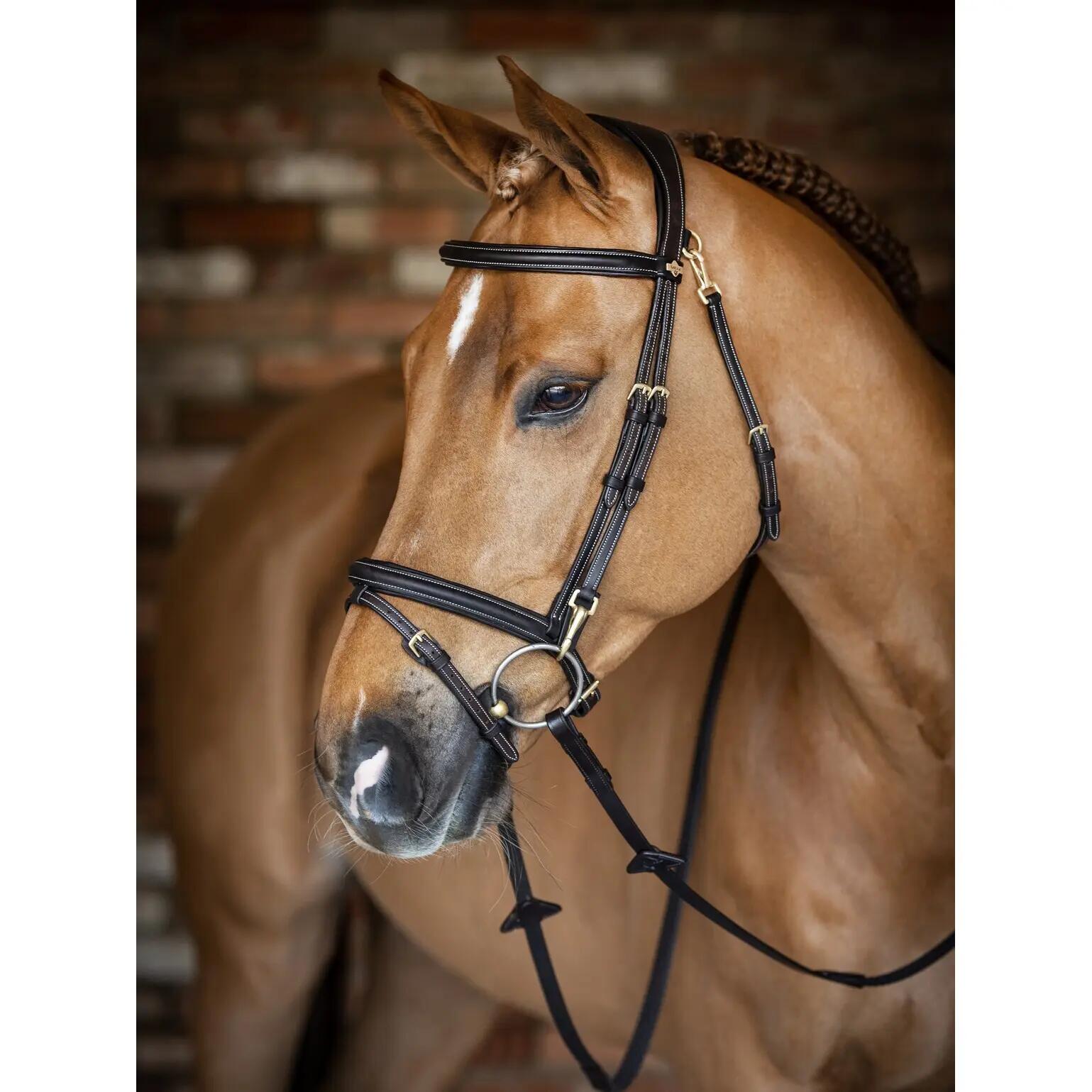 Bridon équitation pour cheval LeMieux Work 3/7