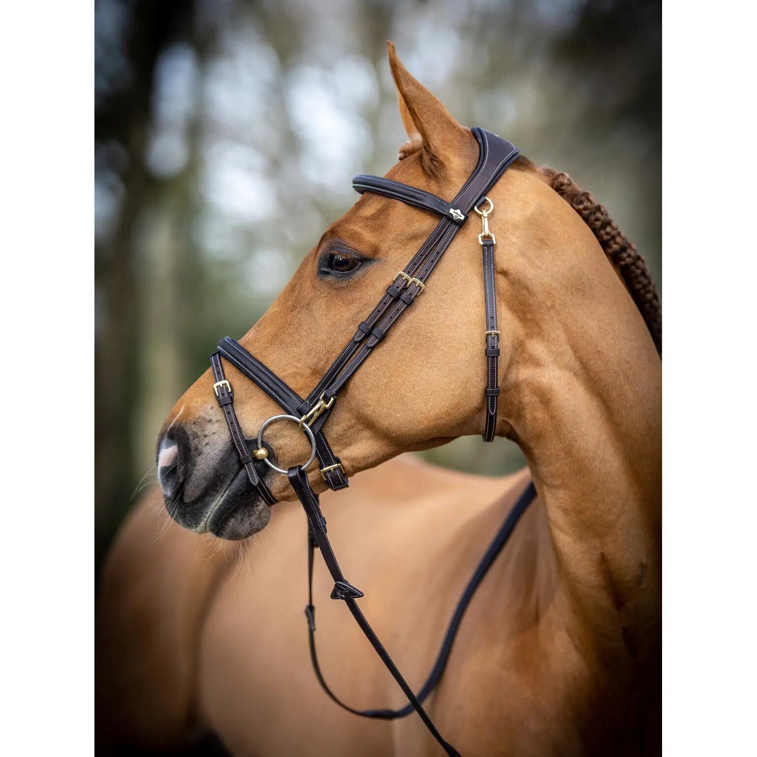 Bridon équitation pour cheval LeMieux Work 2/7