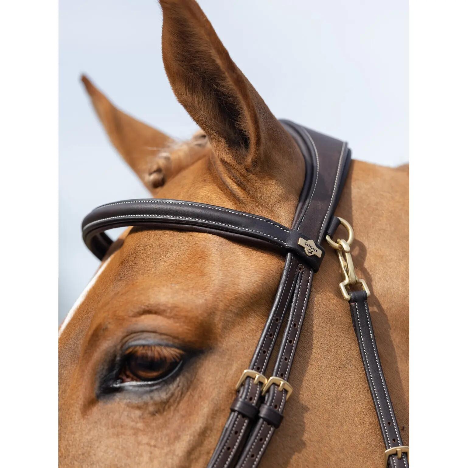 Bridon équitation pour cheval LeMieux Work 4/7