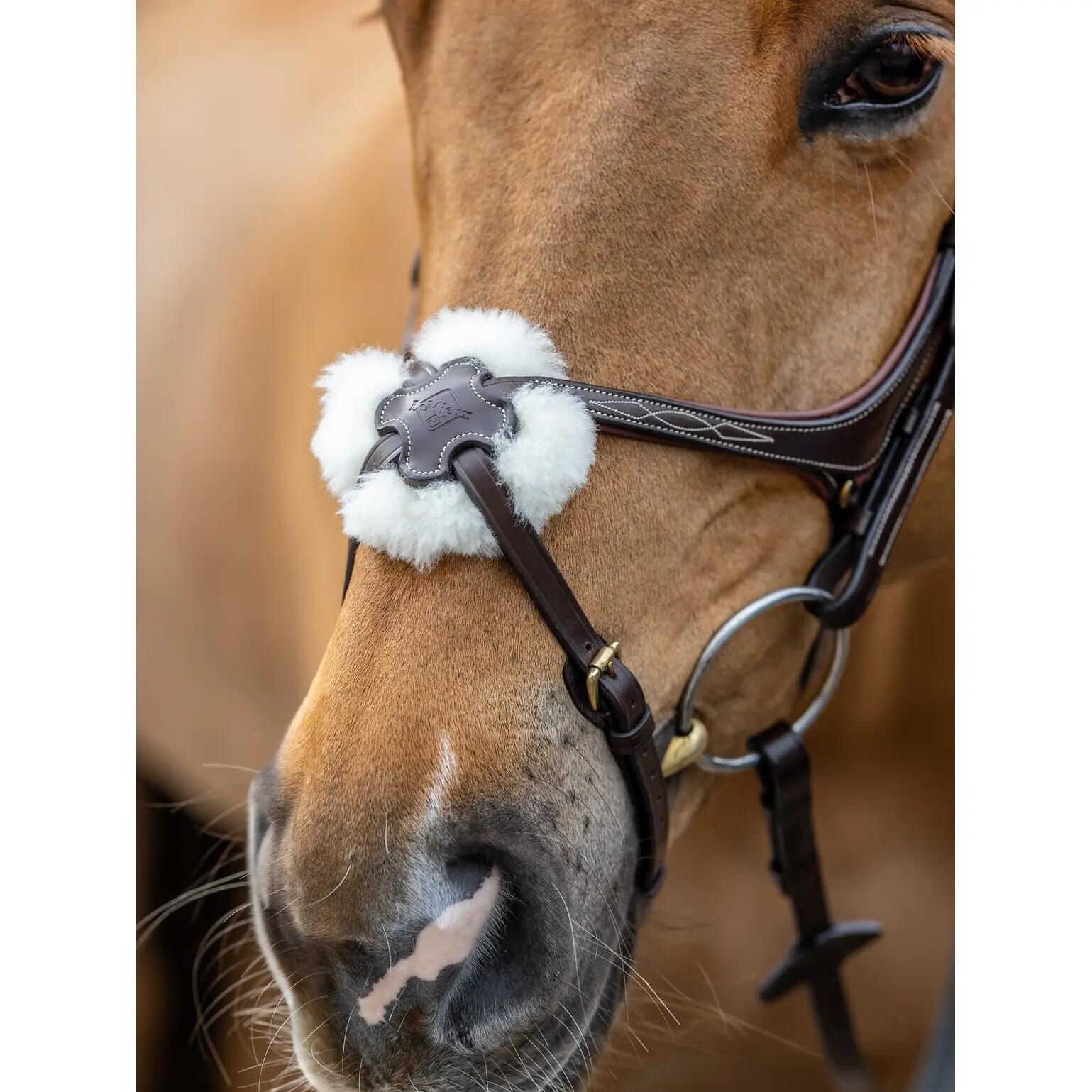Snaffle hoofdstel voor paarden LeMieux Grackle Havana 3/7