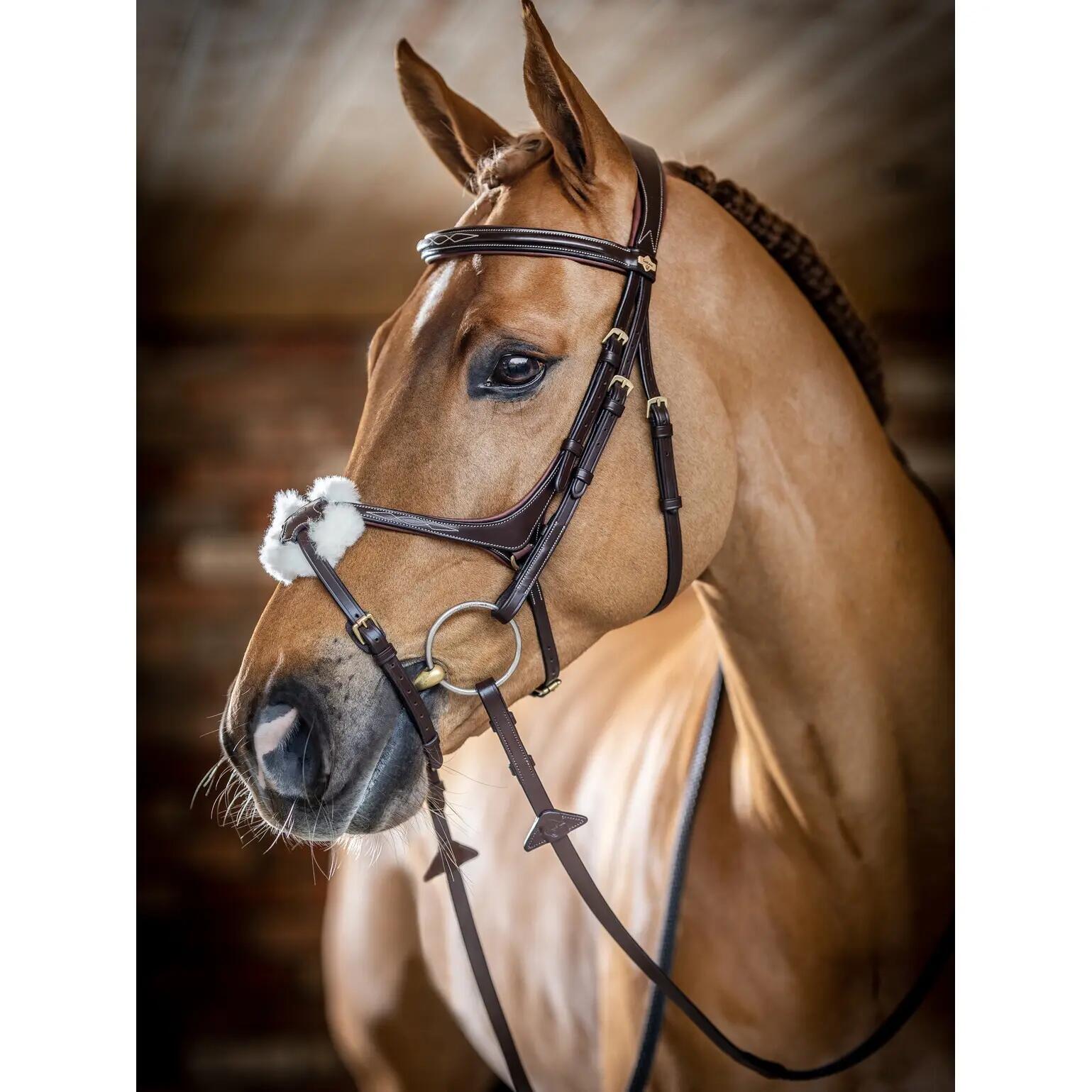 Snaffle hoofdstel voor paarden LeMieux Grackle Havana 2/7