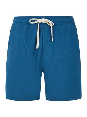 Protest prtgraig shorts - raku blue