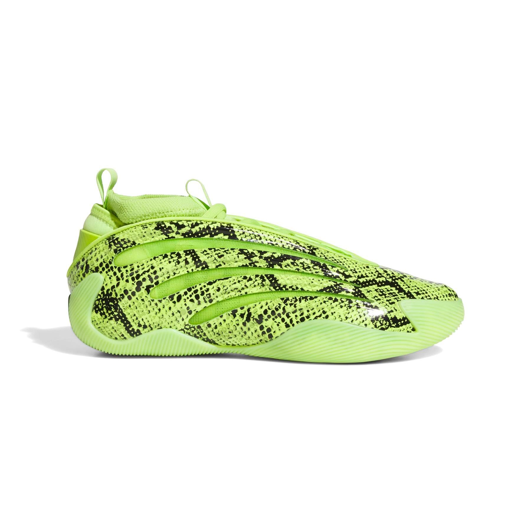 ADIDAS picture
