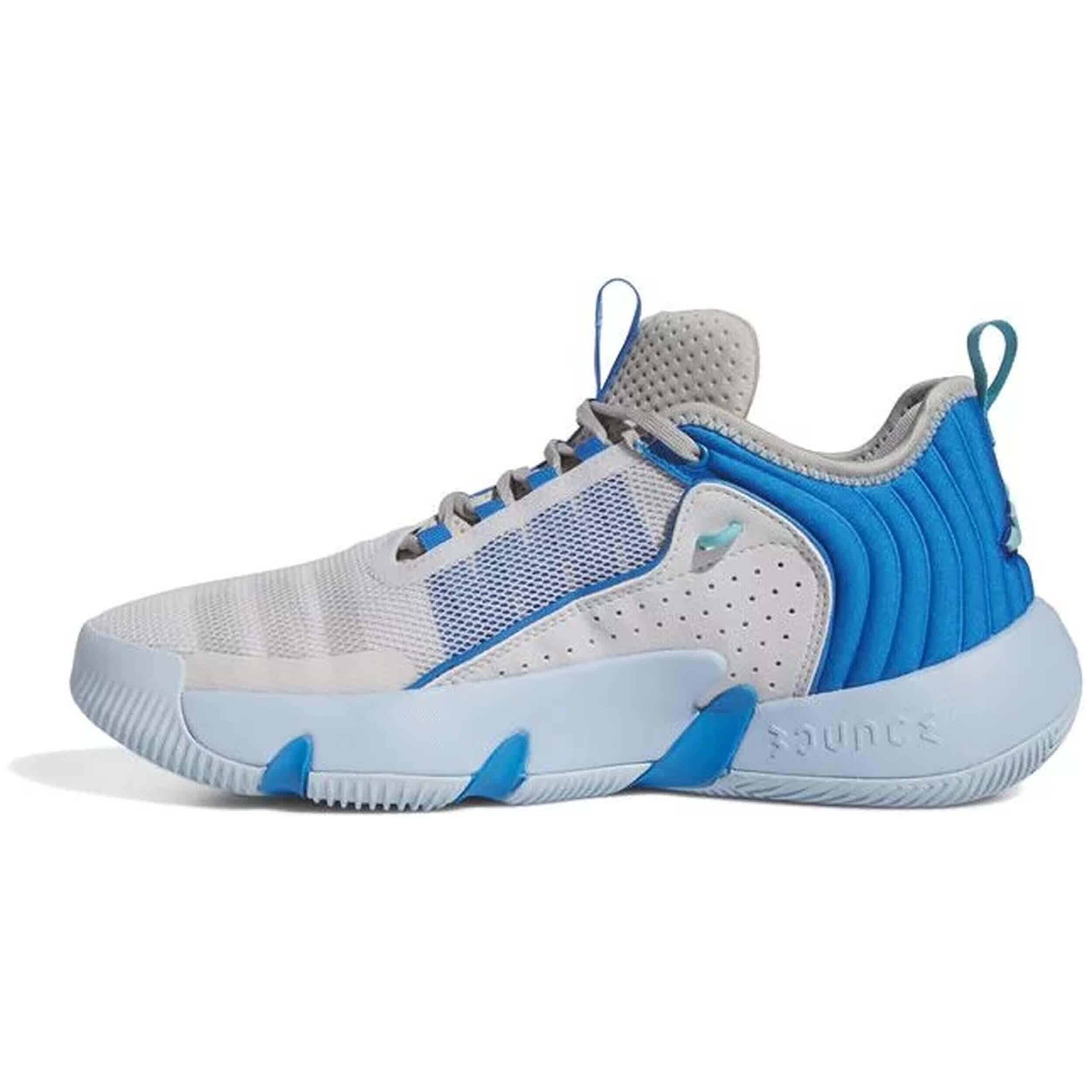 Basketbalschoenen Adidas model IF5610 voor mannen 2/5