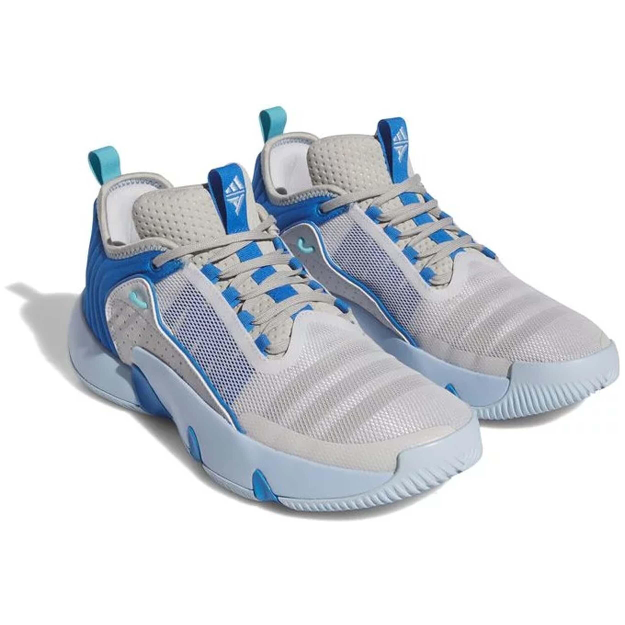Basketbalschoenen Adidas model IF5610 voor mannen 5/5