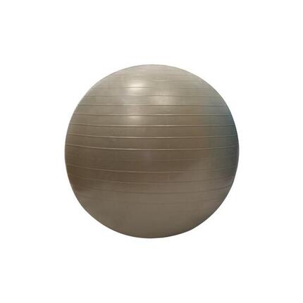 GYMBALL BALLE GYMNIQUE Sporti 55 cm