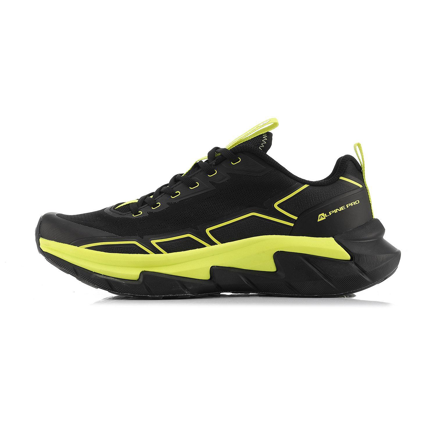 ALPINE PRO picture