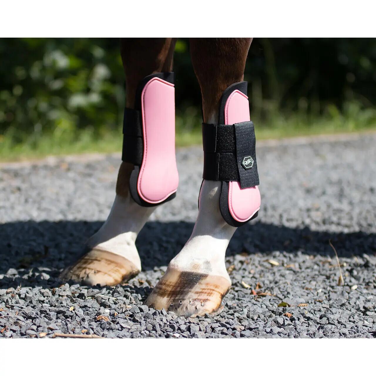 Front gaiters for open horses QHP 2/2