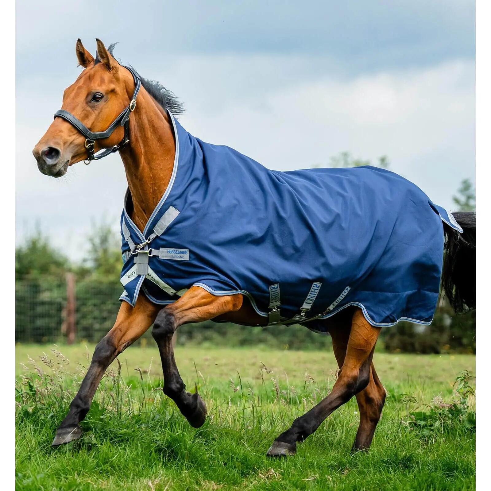HORSEWARE IRELAND picture